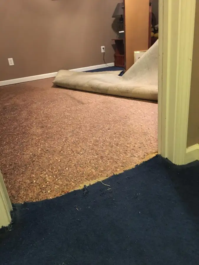Carpet pad removal revealing water damage during Water Mitigation Services in Belterra