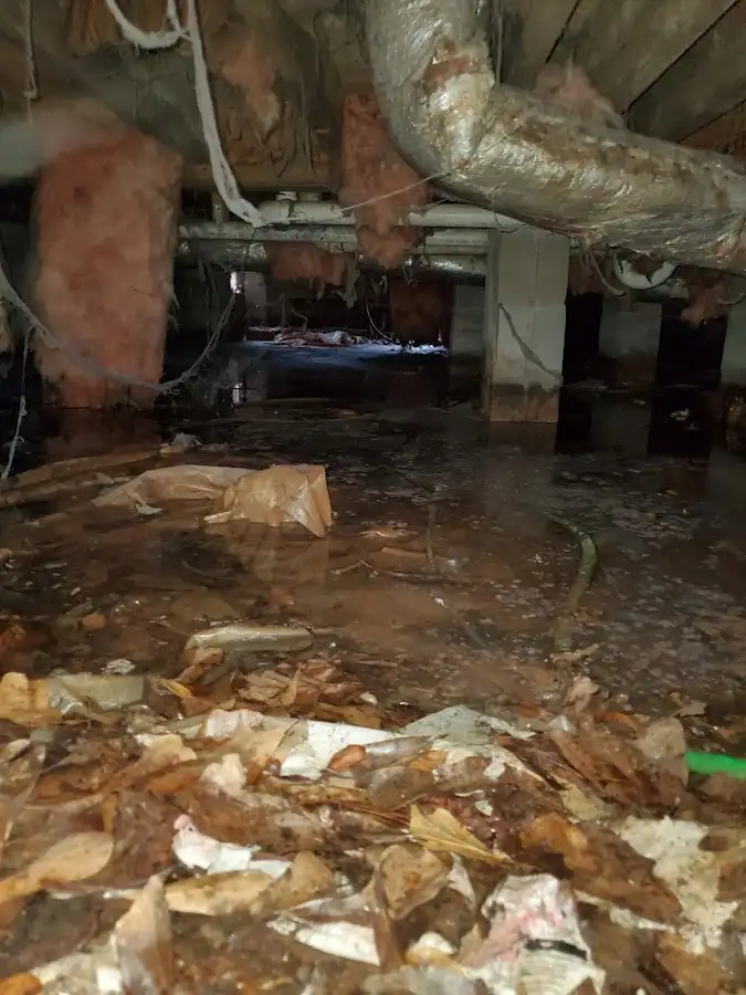 Crawl space flood assessment for Leak Detection & Repair in Belterra