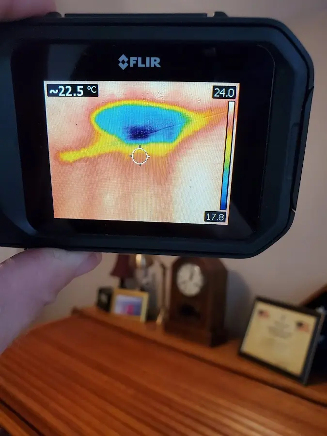 Thermal imaging inspection for water damage in Belterra